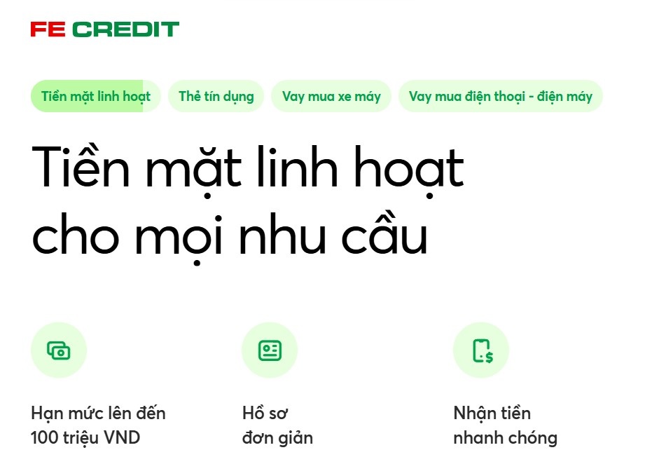 Dịch vụ vay tiền FE Credit (Nguồn : Internet)